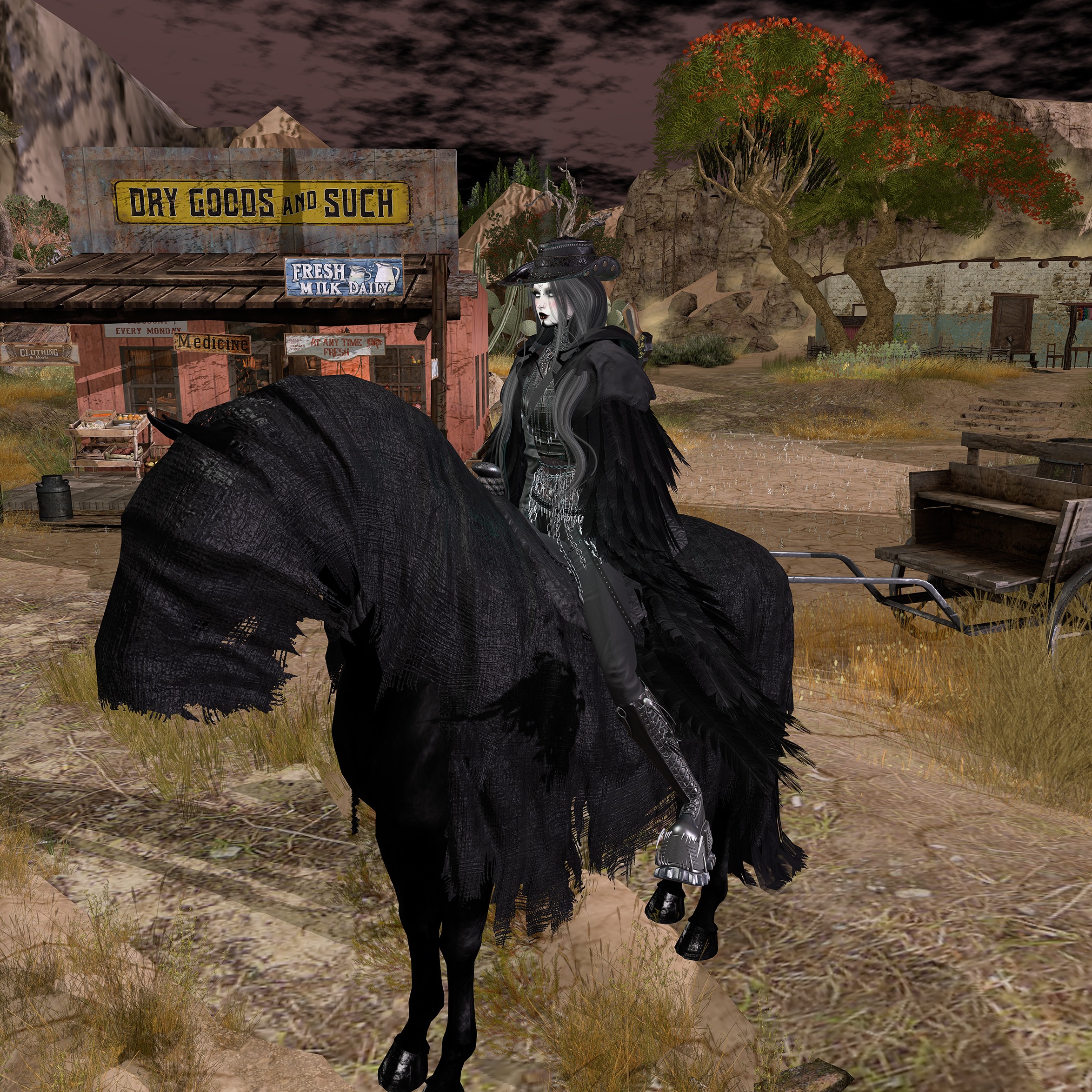 WILD WEST 3