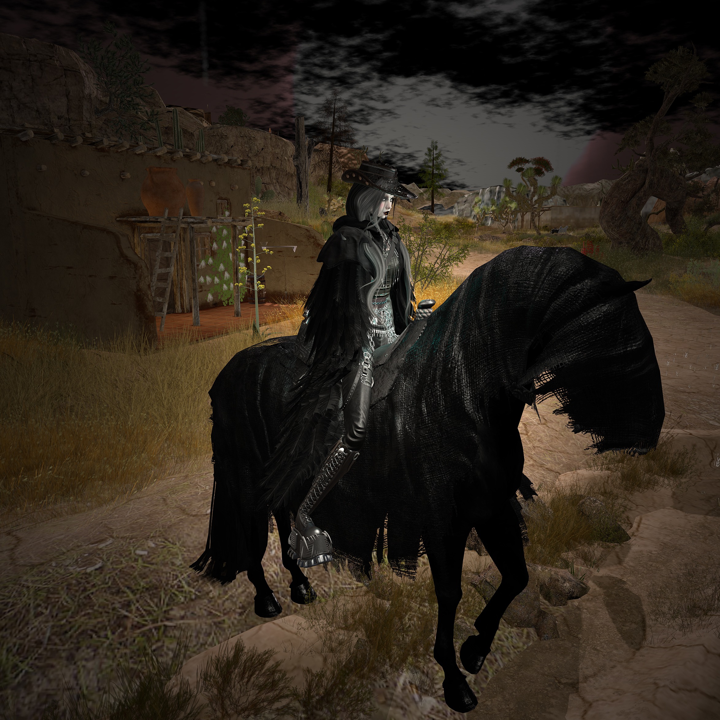 WILD WEST 4