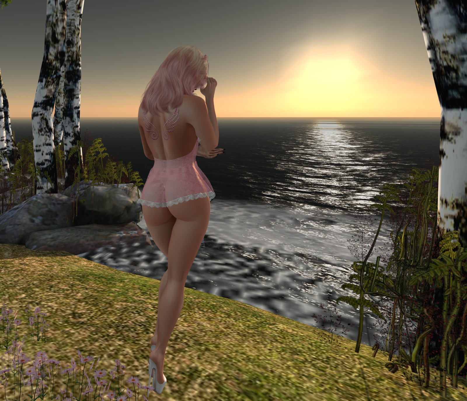 Enjoying the Sunset