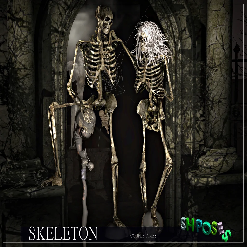 Skeleton