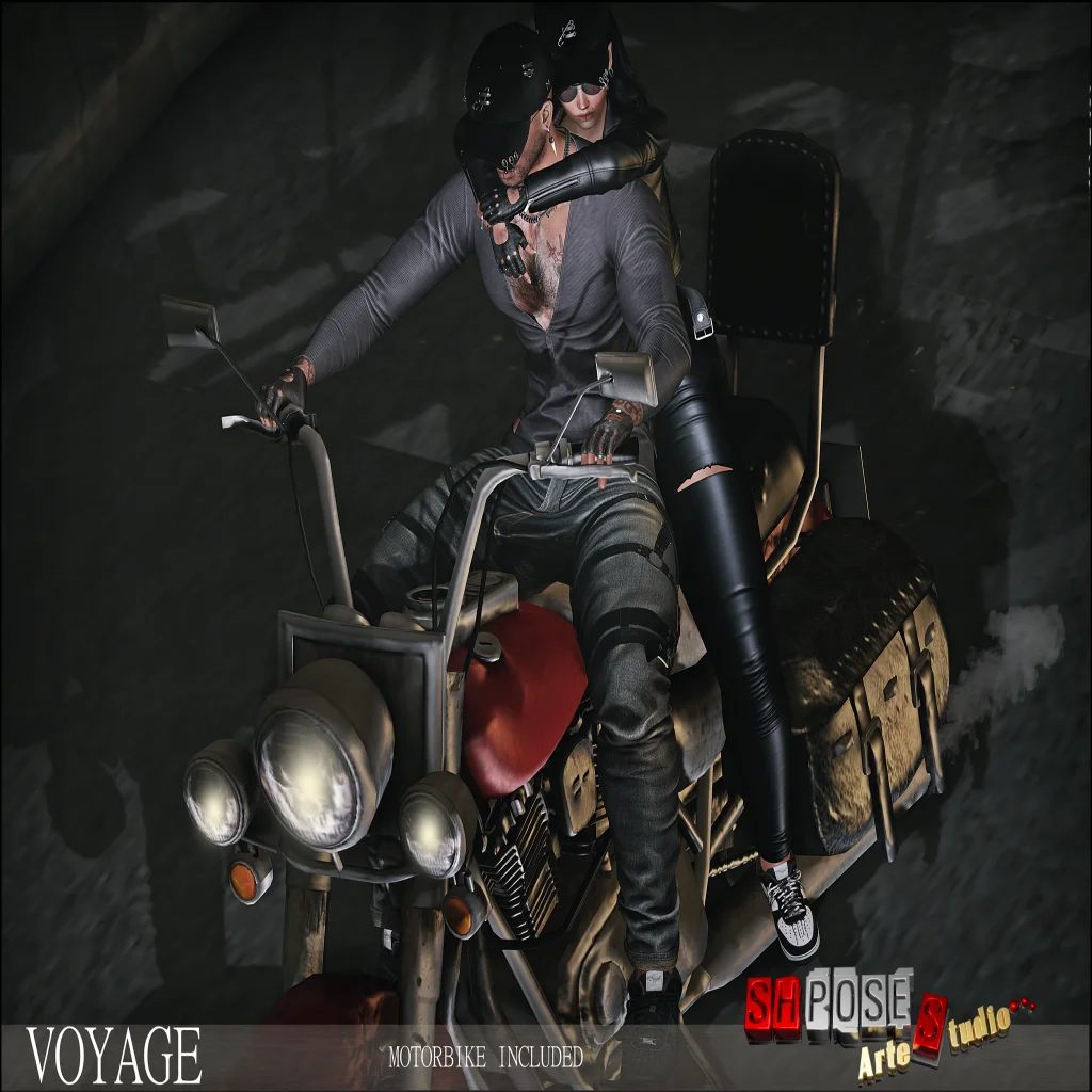 Voyage