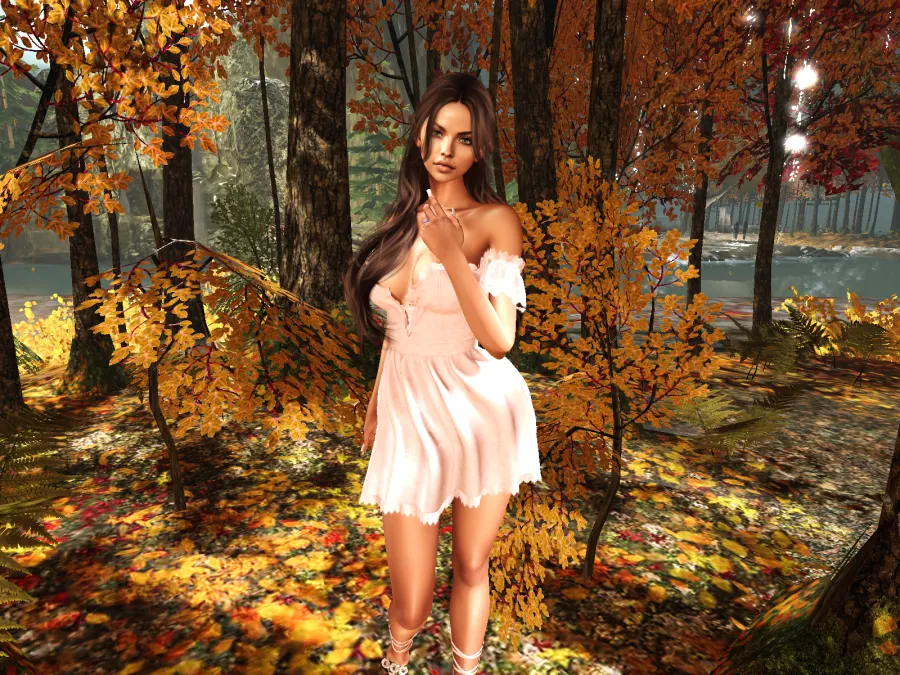 @summerstorm enjoying a walk in the forest thhis fall.