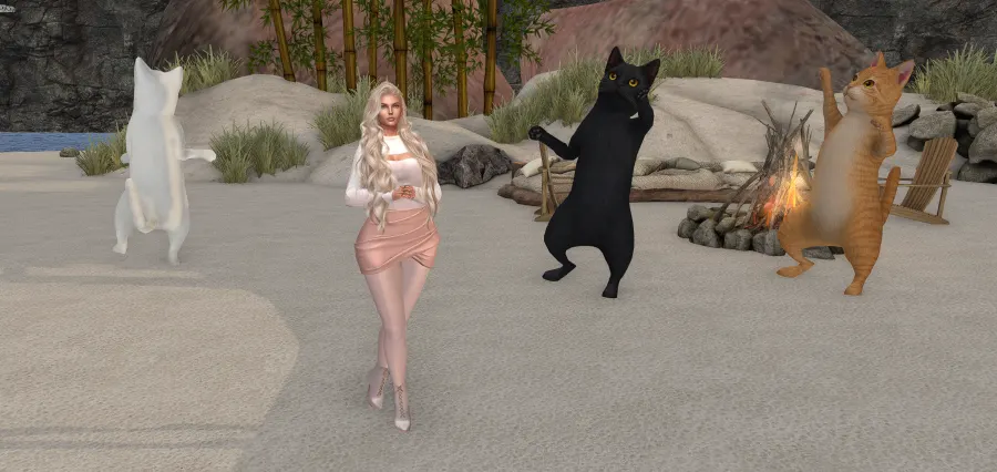 Me with my dancing cats, at home!