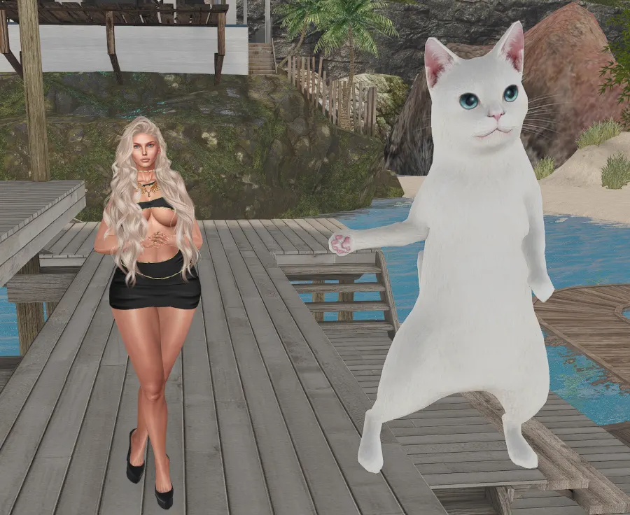 My shy white cat and I, at home