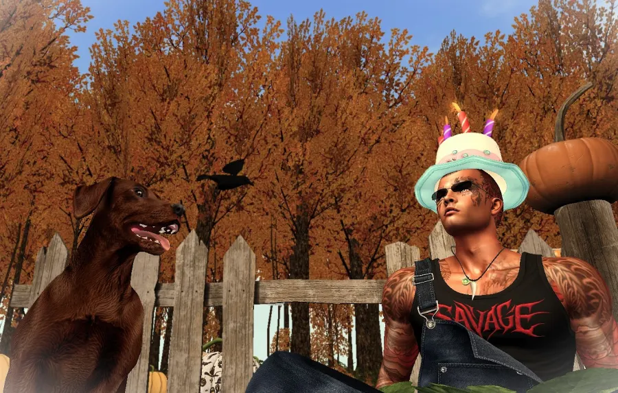 🎃 Taking care of my pumpkin for the 10th Anniversary of DFS contest, accompanied by my loyal friend Brownie.

I’m not...
