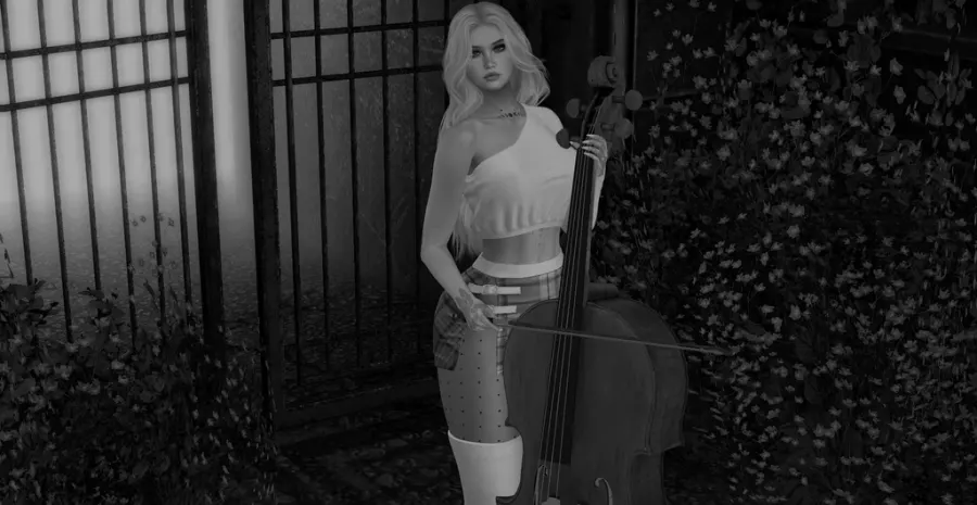 where words fail, music speaks ❤
