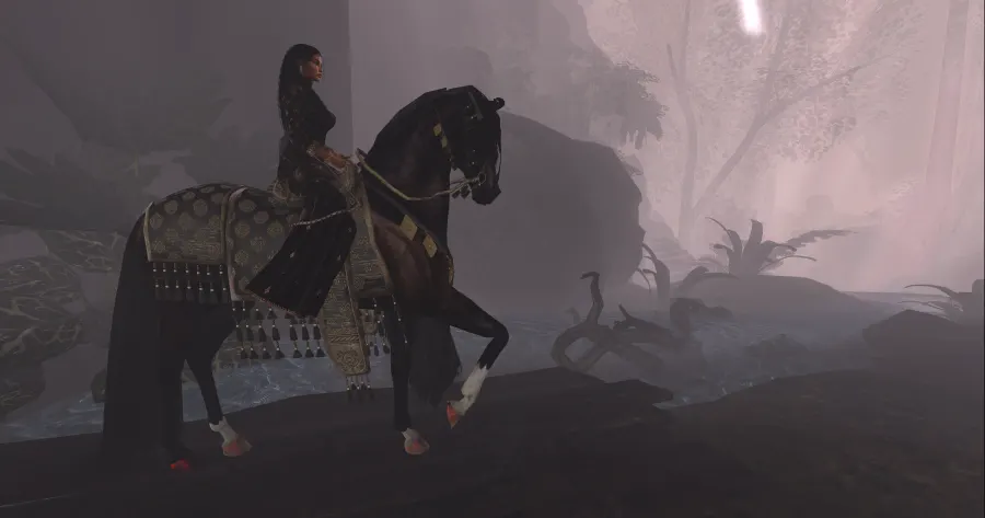 Just a snapshot. 
When you need some quiet and peace... take your horse for a ride.