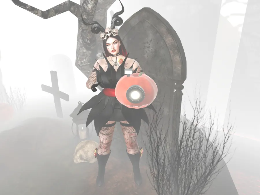 There I was walking through a spooky Grave yard when i came upon a strange camera... A spooky voice whispered to me "Do...