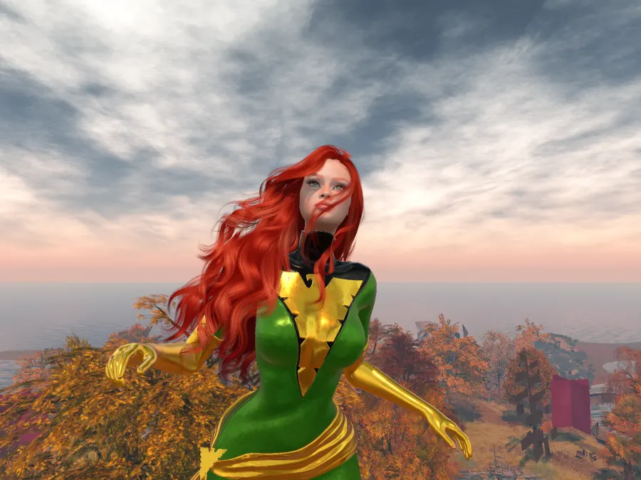 My Jean Grey/ Pheonix of the X-men costume.